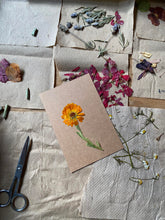 Cargar imagen en el visor de la galería, CURSO HERBOLARIA ONLINE (SIN MATERIALES)