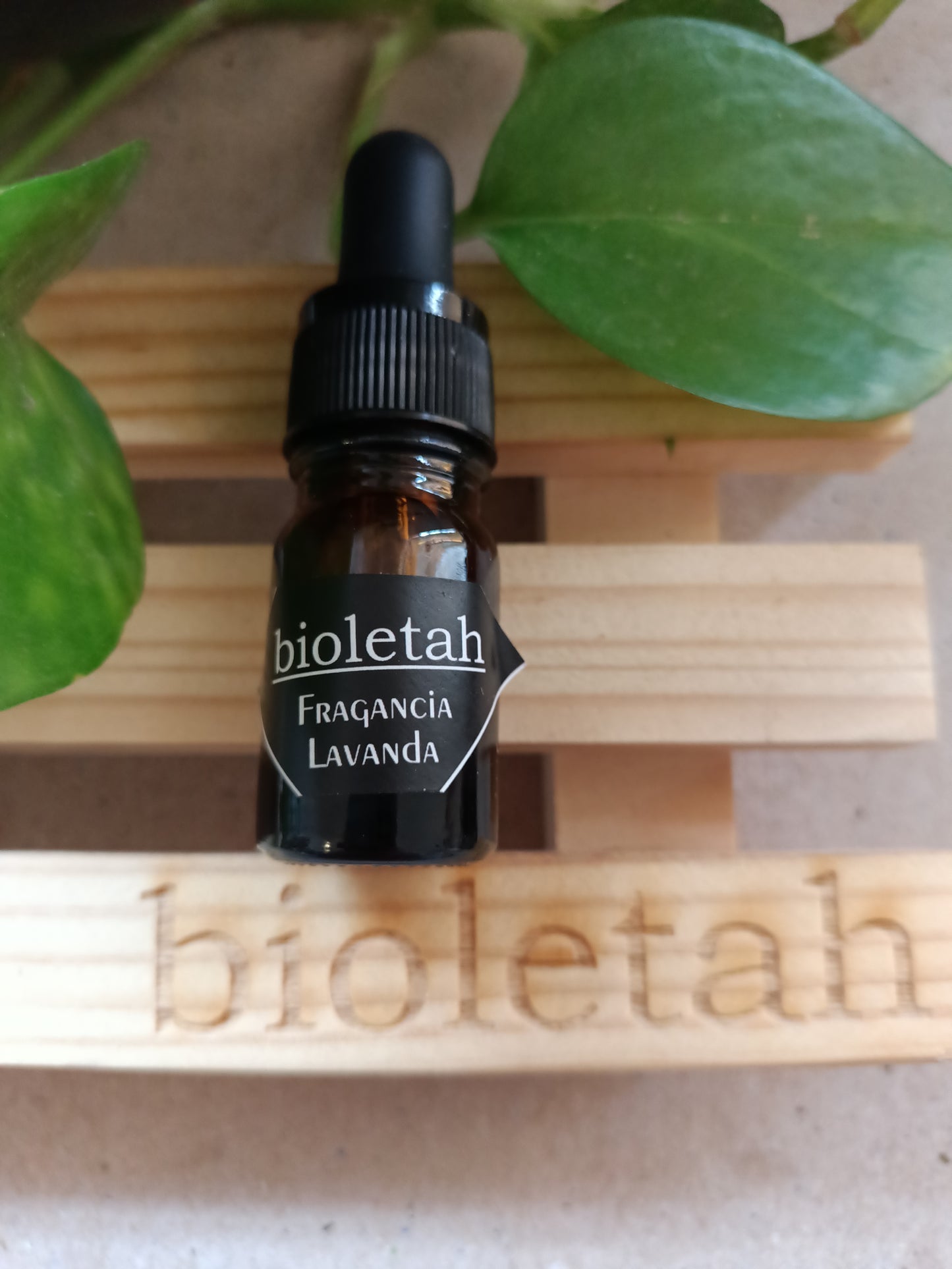 Fragancias libres de ftalatos (nuevos aromas)