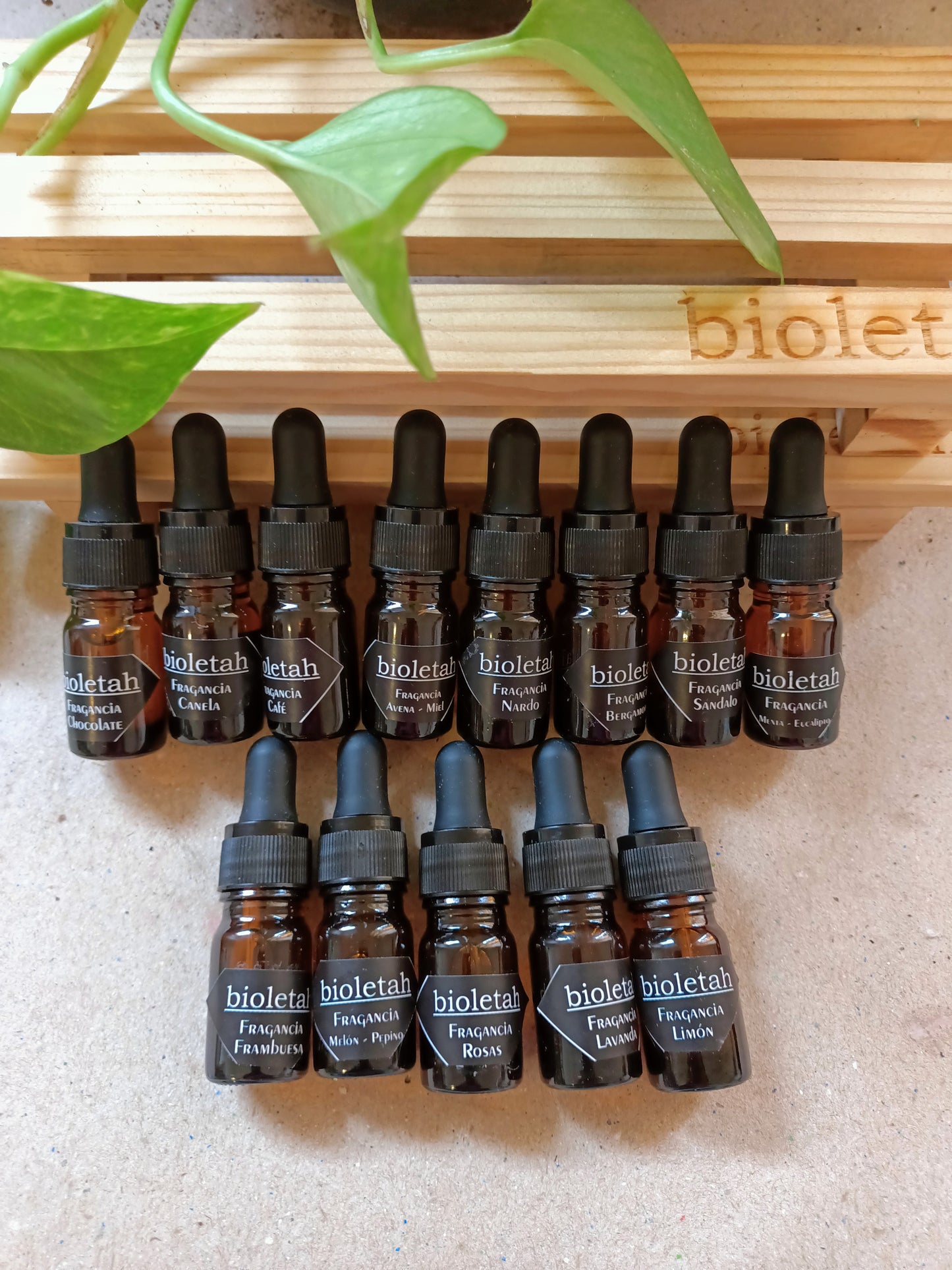 Fragancias libres de ftalatos (nuevos aromas)