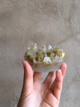 Cargar imagen en el visor de la galería, Taller de Jabones Naturalespara la Piel y el Hogar ONLINE (sin materiales)
